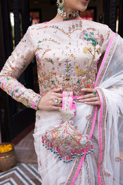 Pakistani Wedding Dress In Premium Net Saree Style –, 48% OFF