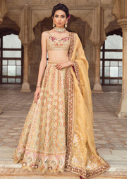 Pakistani Bridal Lehnga Choli in Light Pink Color Overall Look