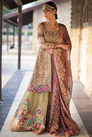 Elegant Pakistani designer outfit in vibrant gold color