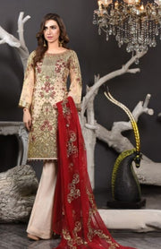 Embroidered Pakistani Chiffon Suit for Events