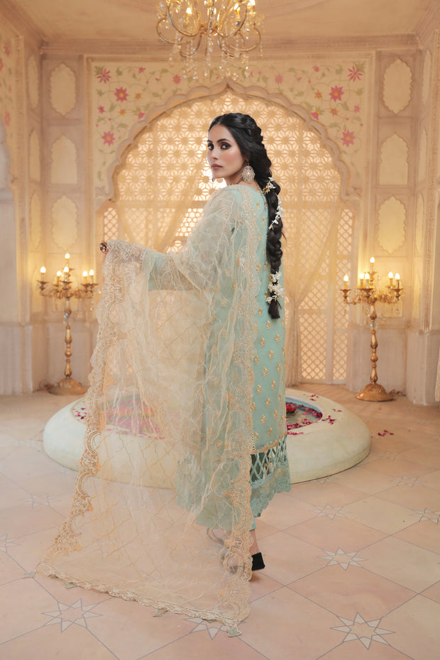 Party Wear Dress Pakistani in Sky Blue Shade 2022