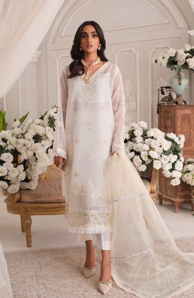 White net 2024 dresses pakistani