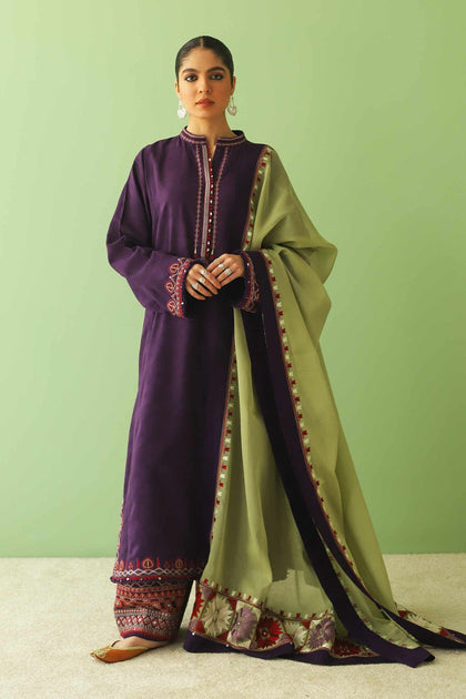 Purple Long Kameez Salwar Suit Pakistani Party Dresses – Nameera by Farooq