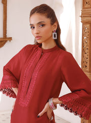 Royal Embroidered Salwar Kameez Pakistani Red Dress for Eid