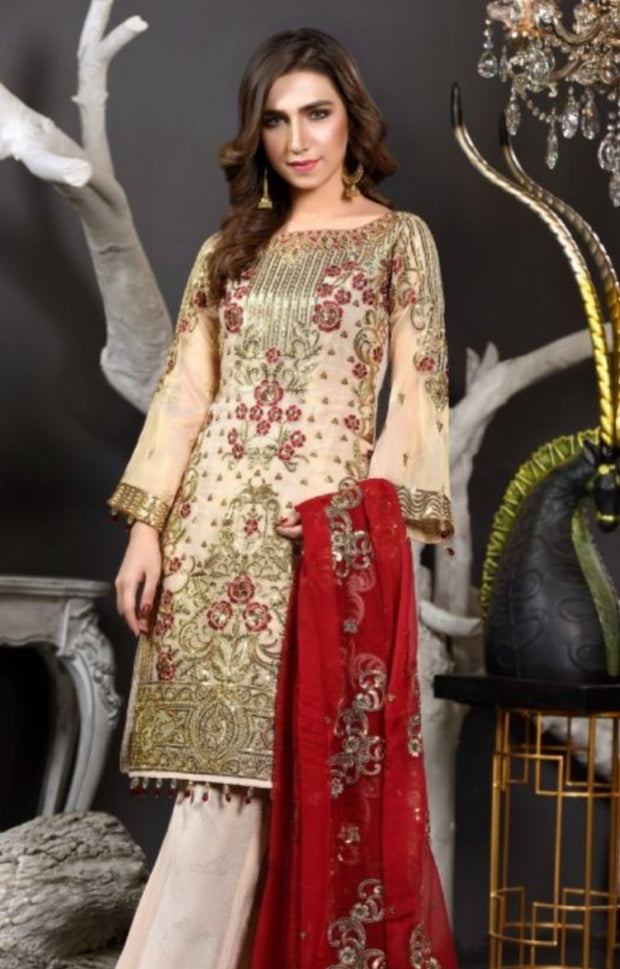 Embroidered Pakistani Chiffon Suit for Events 2