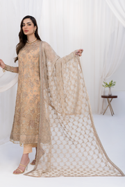 Traditional Pakistani Long Kameez with Trousers Wedding Dress 2023