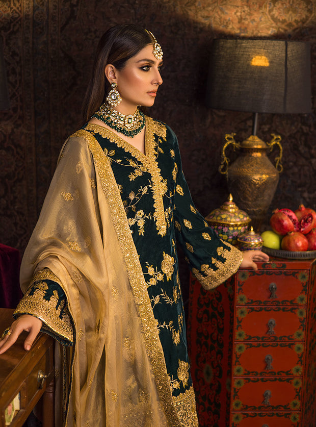 Velvet Dress Salwar Kameez Design 