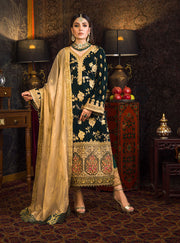 Velvet Dress Salwar Kameez Design for Party Wear 