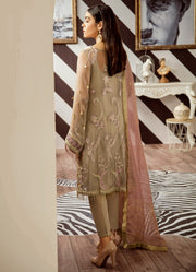 Elegant Pakistani designer ada worked dress in seattle mist color